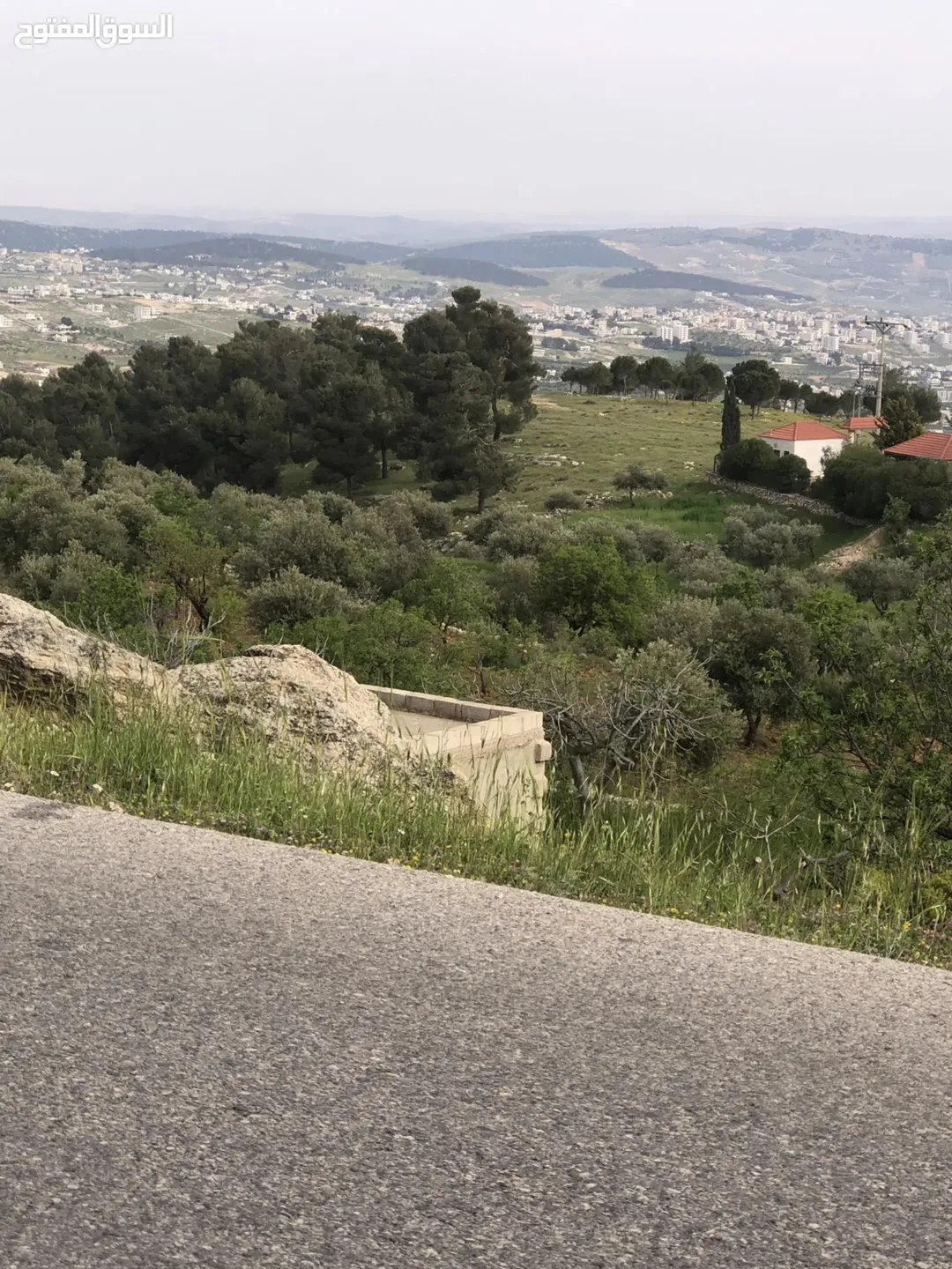 أرض زراعية غناء تضم أشجار الزيتون والتين والكرز واللوز والخوخ