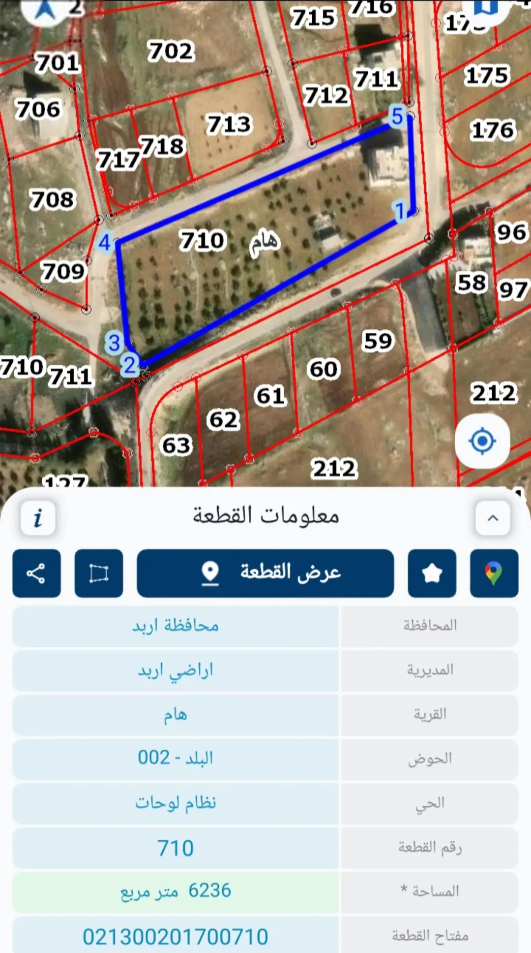 أرض مشجرة بالزيتون للبيع في هام – إربد على طريق البترول