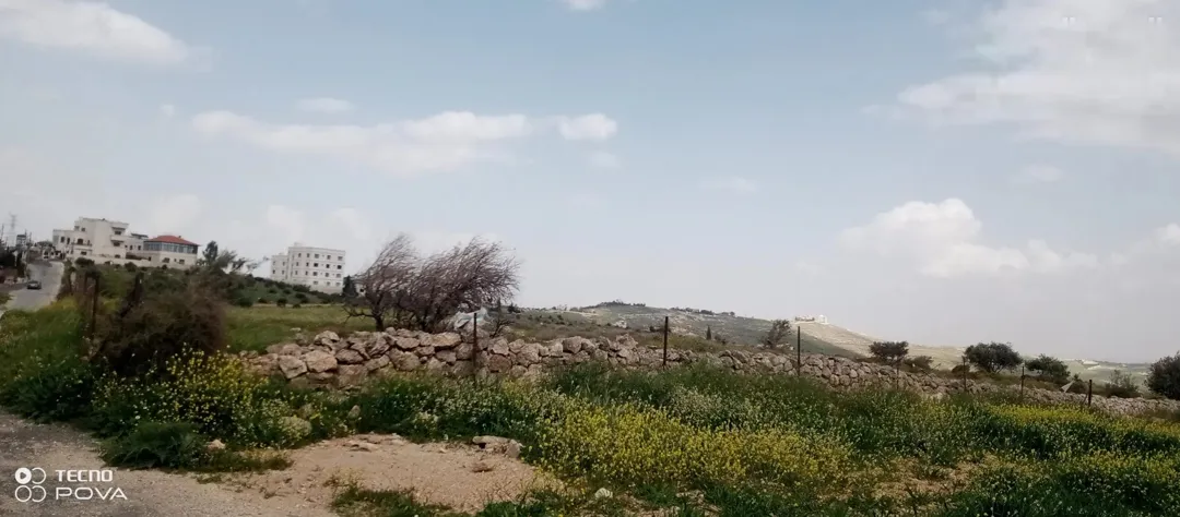 أرض للبيع في شفا بدران من أجمل القطع حي عيون الذيب