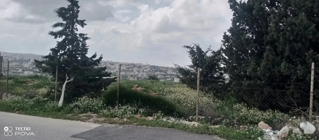 أرض للبيع في شفا بدران من أجمل القطع حي عيون الذيب