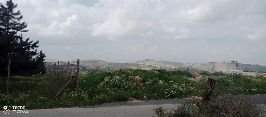 أرض للبيع في شفا بدران من أجمل القطع حي عيون الذيب