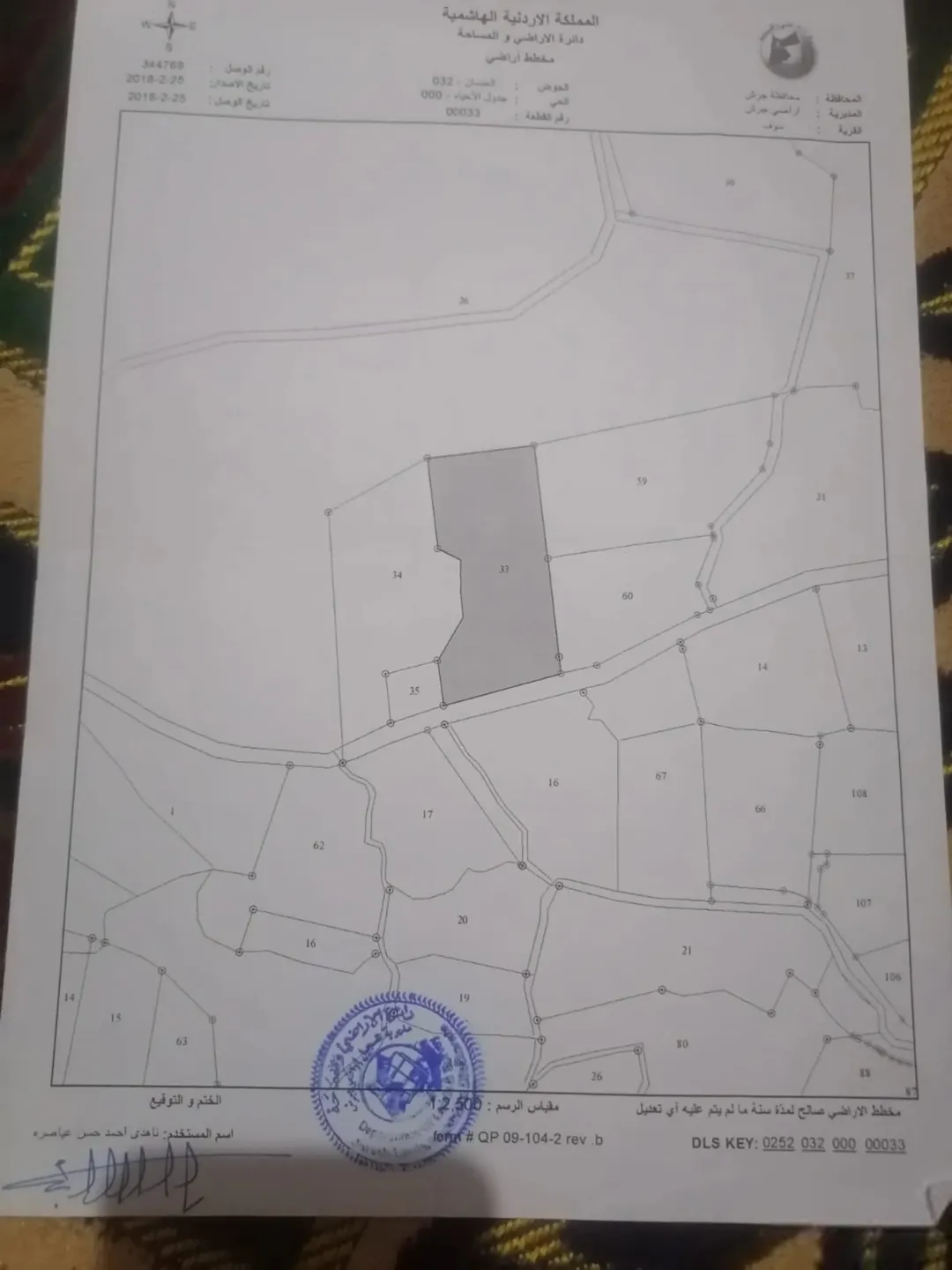 مزرعة مطلة وكاشفة بين سوف وثغره عصفور مزروعه زيتون ولوز