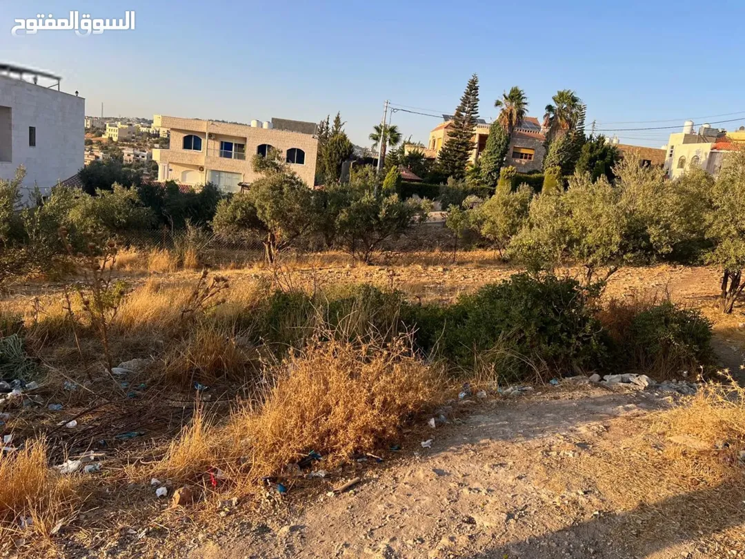 ارض 523 متر للبيع في منطقة بدر الجديدة