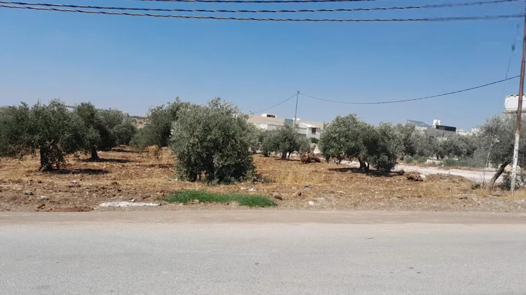 أرض سكنية للبيع في حي الطوال – إربد