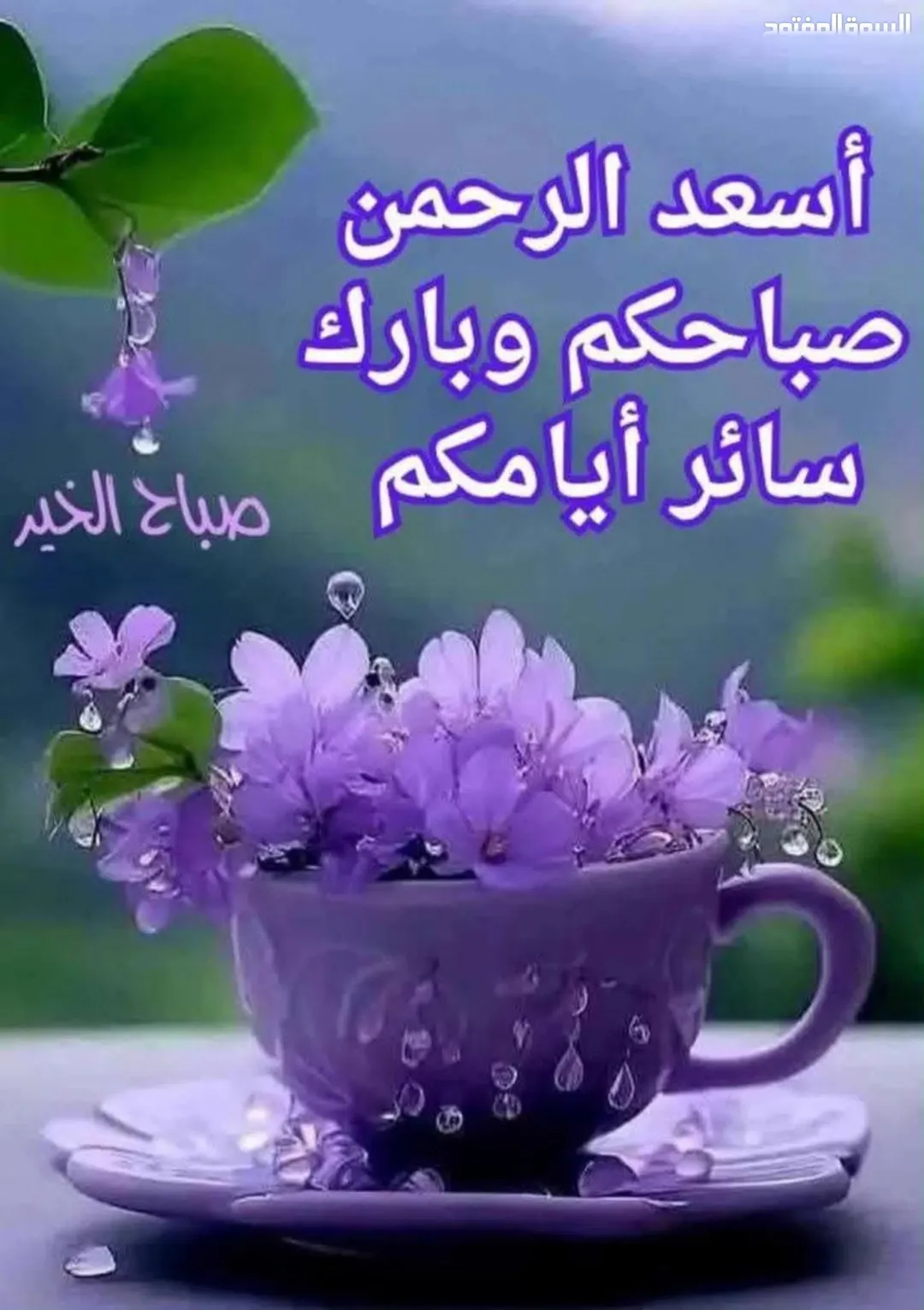 شقة فاخرة للبيع في قلب الزرقاء خلف مسجد عثمان بن عفان وسط التجارة النابض بالحياة طابق رابع مرفوع مع إطلالة رائعة