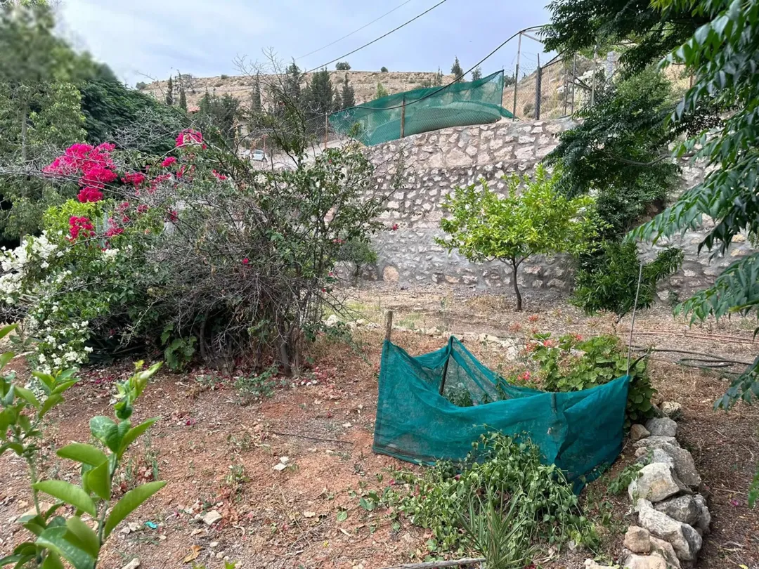 مزرعة للبيع في العالوك 5 دونمات مع فيلا طابقين مزروعة بالزيتون المثمر