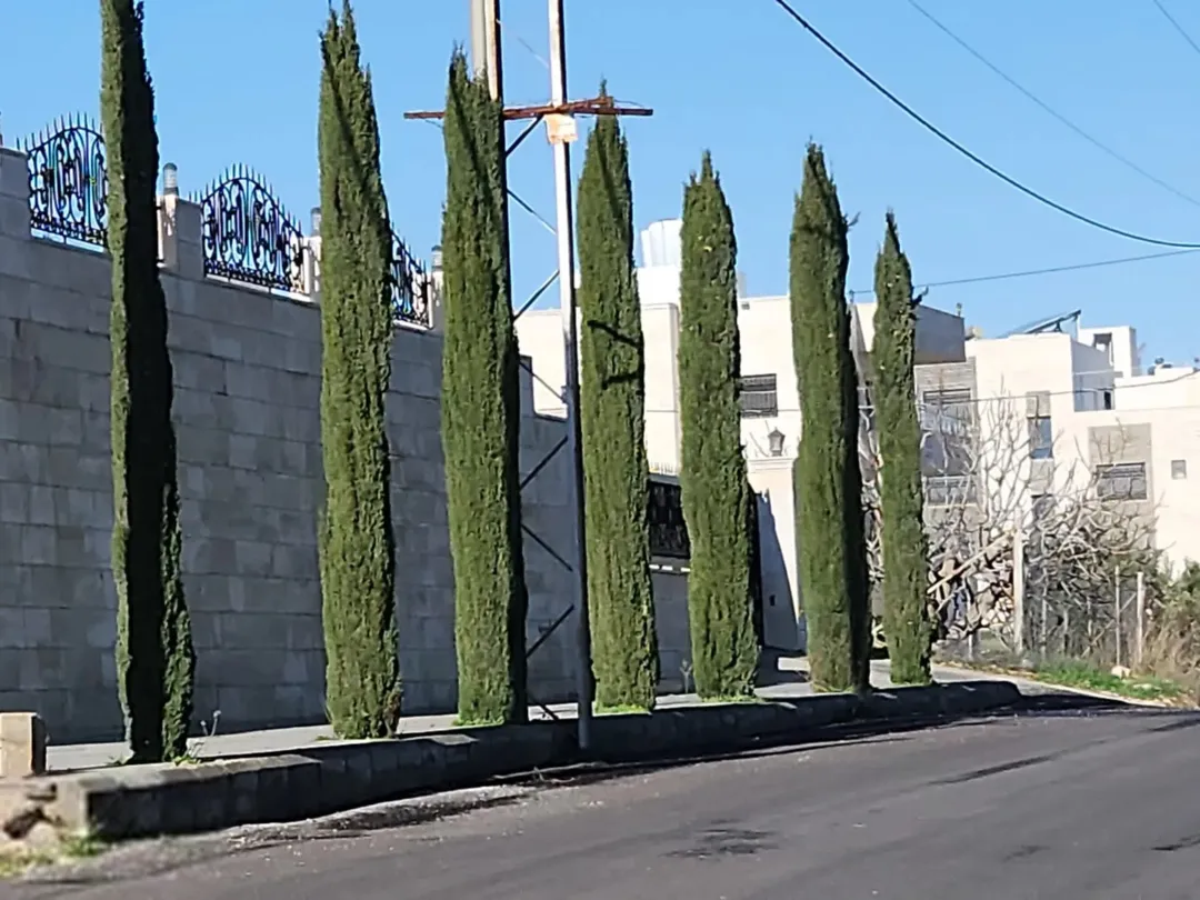 قطعة أرض مميزة في أبو نعير إطلالة بانورامية
