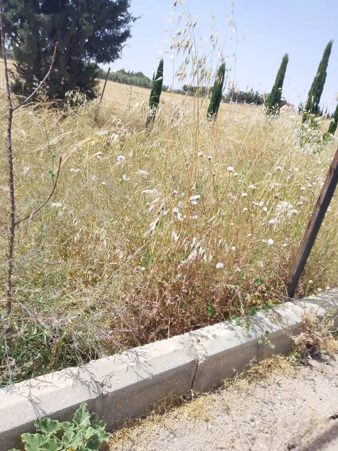 مزرعة زراعية مميزة للبيع