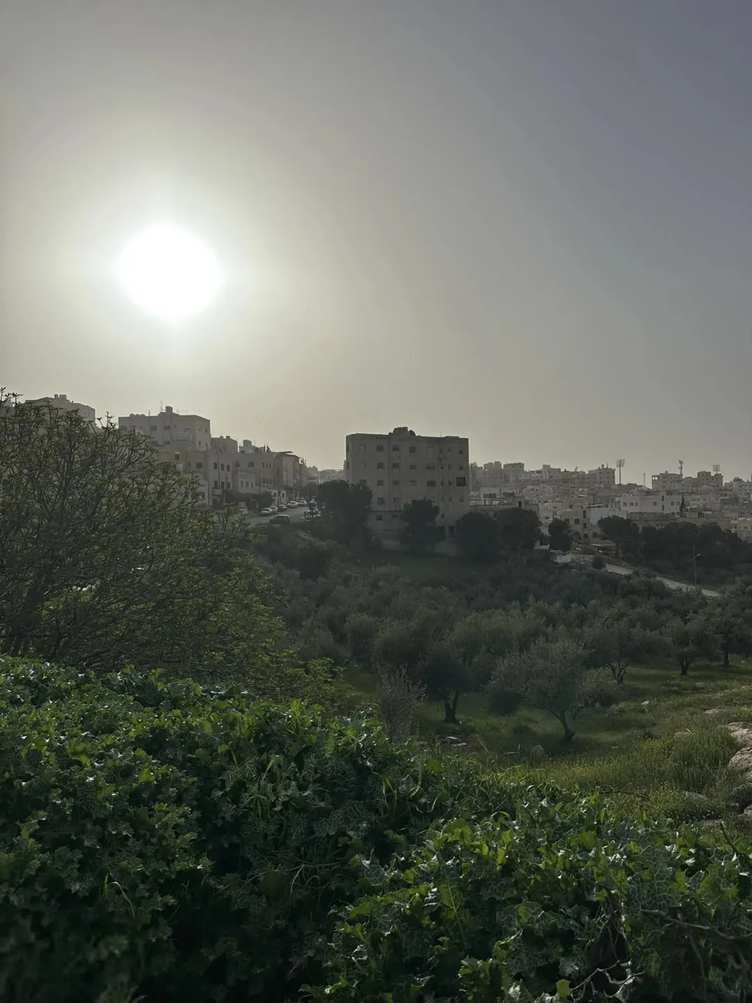 أرض سكنية للبيع في القويسمة – عمان