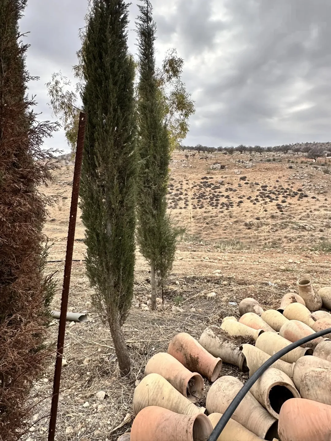 مزرعة في منطقة صروت