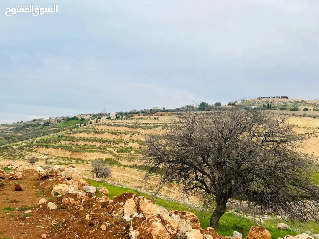 أرض زراعية مميزة في منطقة العالوك