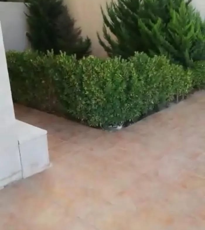 700