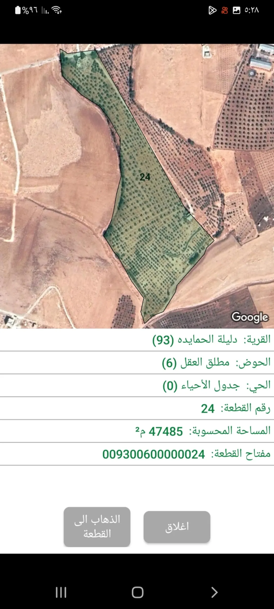مزرعة زيتون استثمارية واسعة للبيع في مادبا – ذيبان