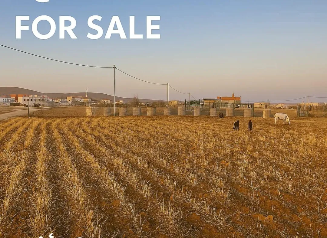 أرض سكنية للبيع في الفيصلية – الموقر