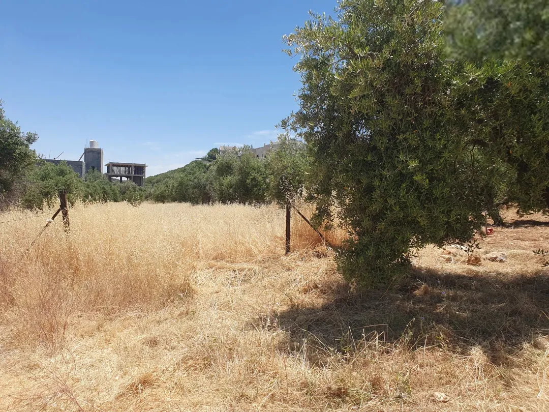أرض سكنية مميزة للبيع في بدر الجديدة – حوض الميسر