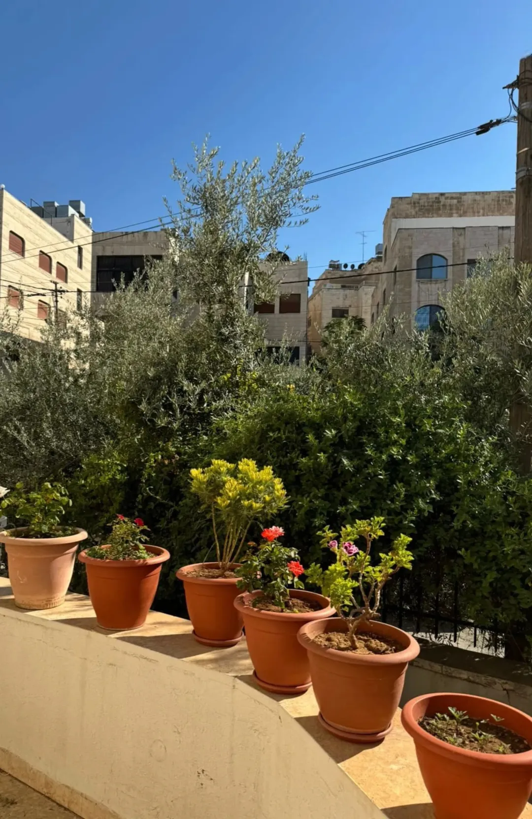 فيلا للبيع في جبل الحسين مباشرة