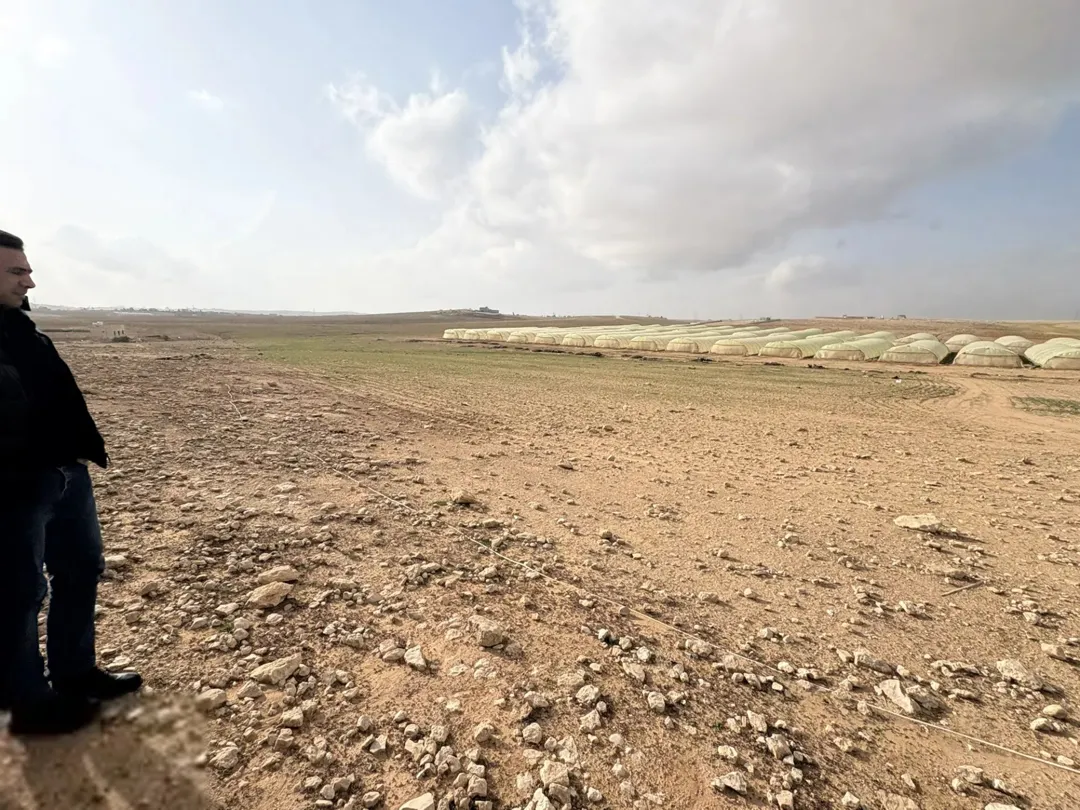 أرض للبيع في قعفور – مدينة عمرة الجديدة