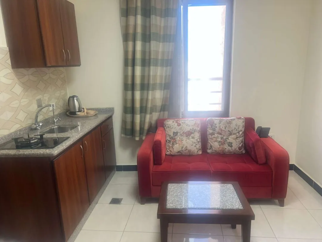 شقة مفروشة يومي في شارع الجامعة