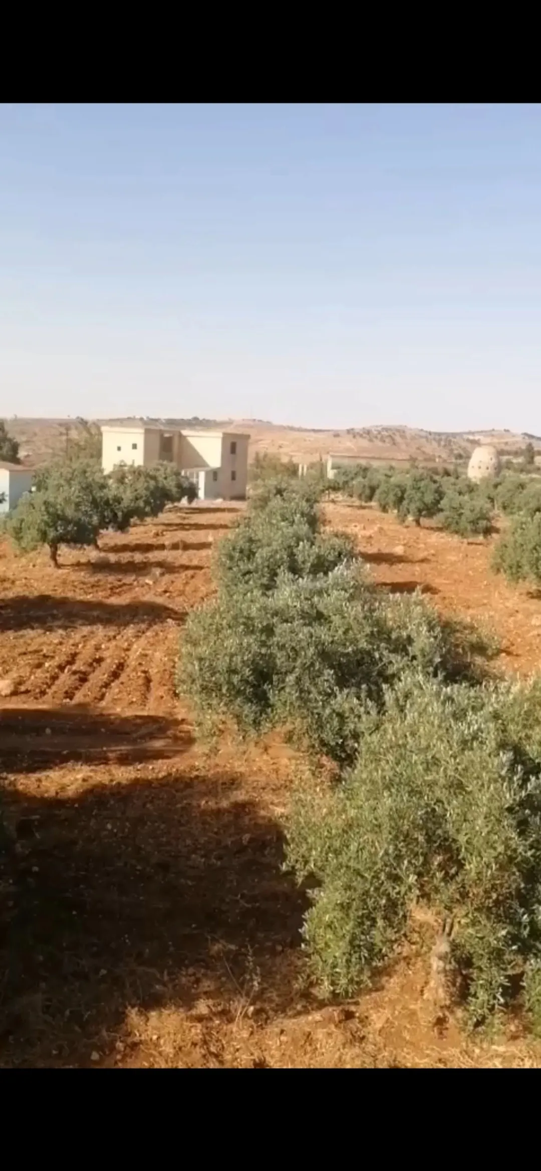 مزرعة رائعة للبيع في جرش – دحل بموقع استراتيجي وإطلالة مميزة