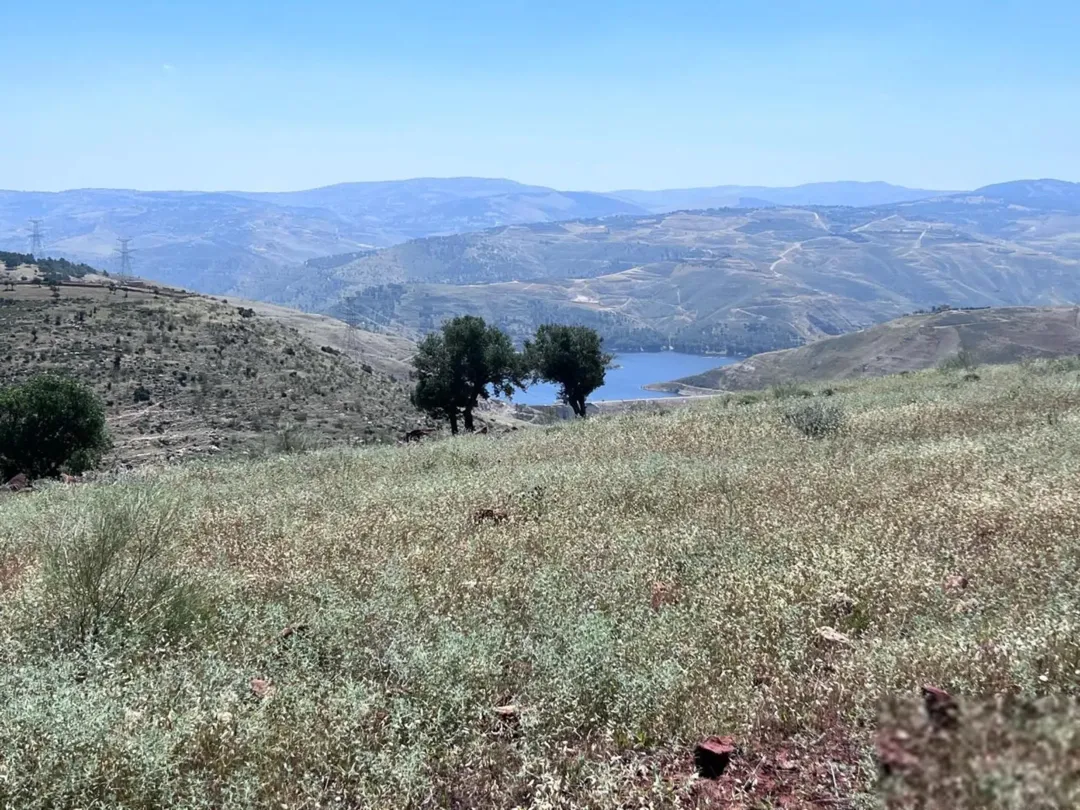 أرض مميزة في جرش برما مرتفعة ذات إطلالة خلابة على سد الملك طلال وعمّان وجبال فلسطين مزروعة شجر مثمر