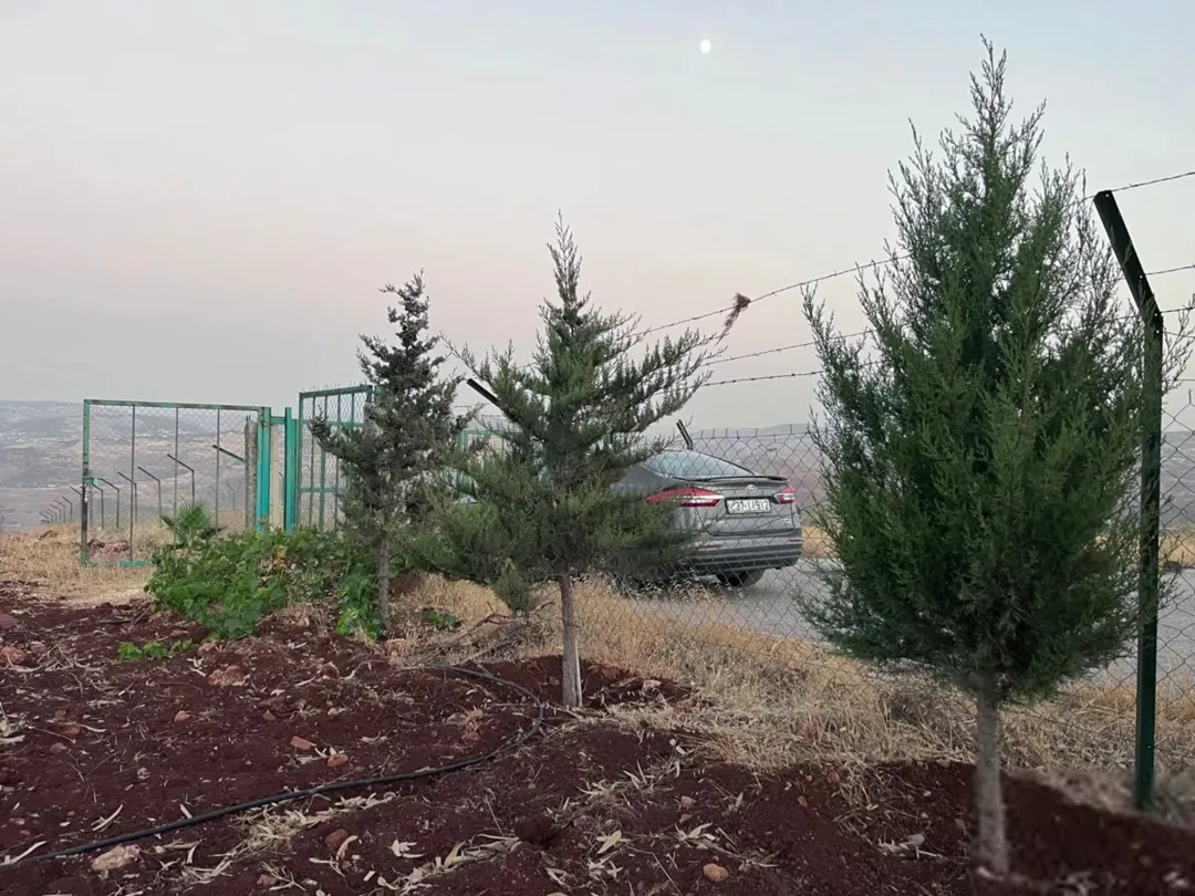 أرض مميزة في جرش برما مرتفعة ذات إطلالة خلابة على سد الملك طلال وعمّان وجبال فلسطين مزروعة شجر مثمر