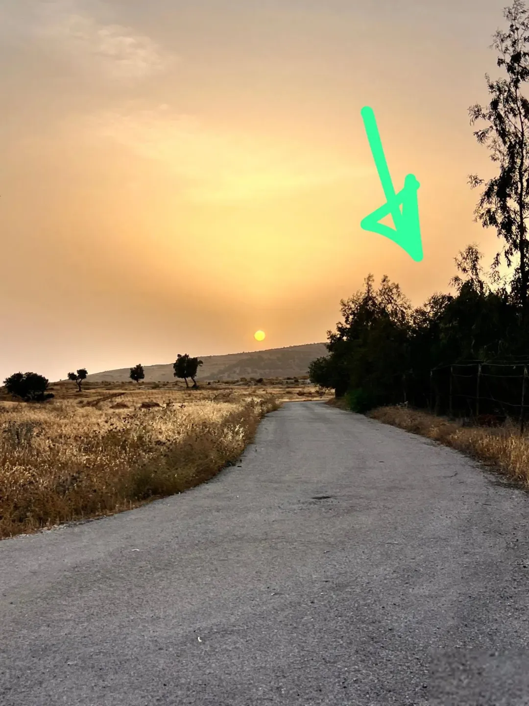 أرض مميزة في جرش برما مرتفعة ذات إطلالة خلابة على سد الملك طلال وعمّان وجبال فلسطين مزروعة شجر مثمر