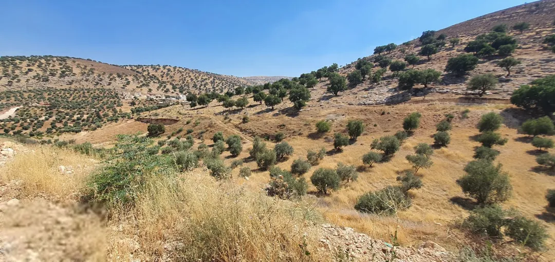 أرض زراعية مميزة للبيع في المكمان – الزرقاء