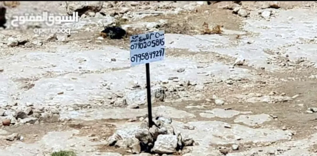 ارض للبيع جريبا حوض جودة ذياب وحوض السلايطة