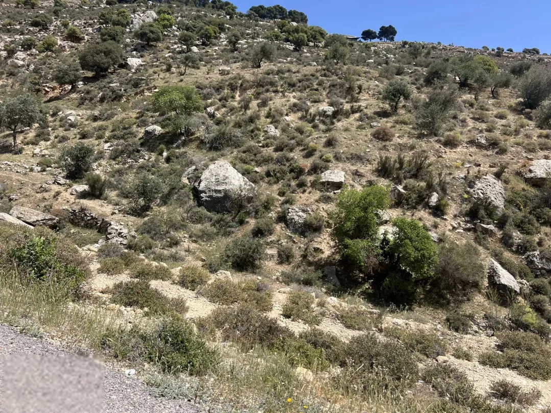 ارض للبيع البطين الجنوبي إطلالة رائعة على فلسطين و الأغوار مباشرة