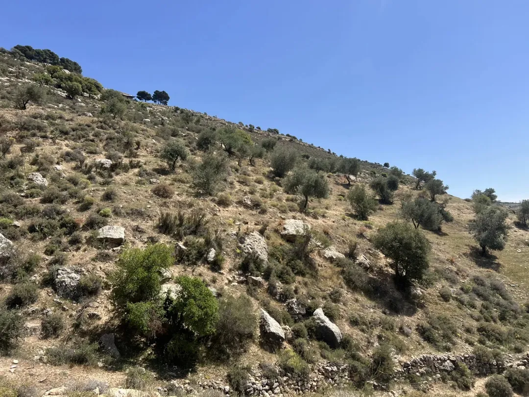 ارض للبيع البطين الجنوبي إطلالة رائعة على فلسطين و الأغوار مباشرة