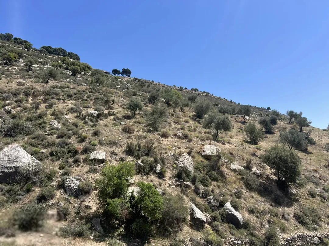 ارض للبيع البطين الجنوبي إطلالة رائعة على فلسطين و الأغوار مباشرة