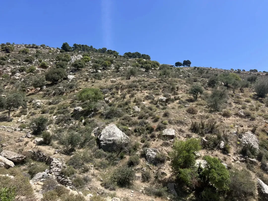 ارض للبيع البطين الجنوبي إطلالة رائعة على فلسطين و الأغوار مباشرة
