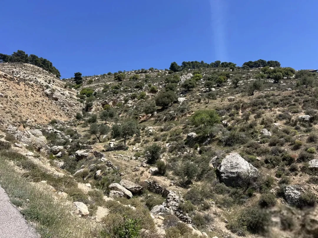 ارض للبيع البطين الجنوبي إطلالة رائعة على فلسطين و الأغوار مباشرة