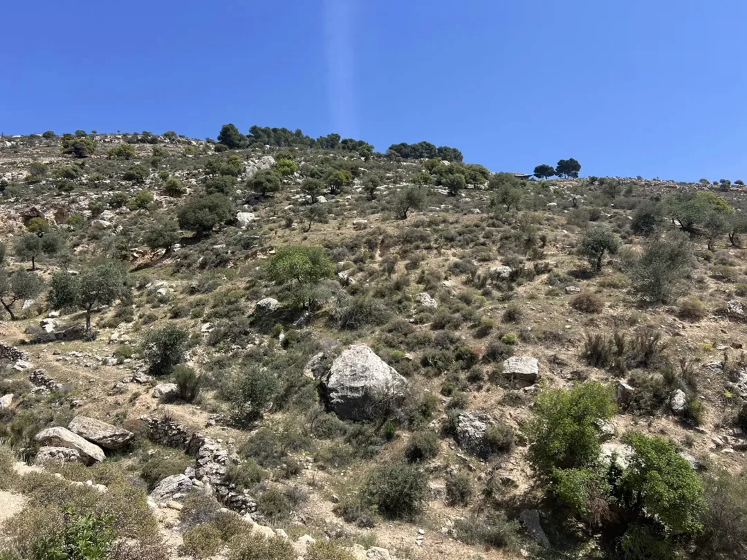 ارض للبيع البطين الجنوبي إطلالة رائعة على فلسطين و الأغوار مباشرة