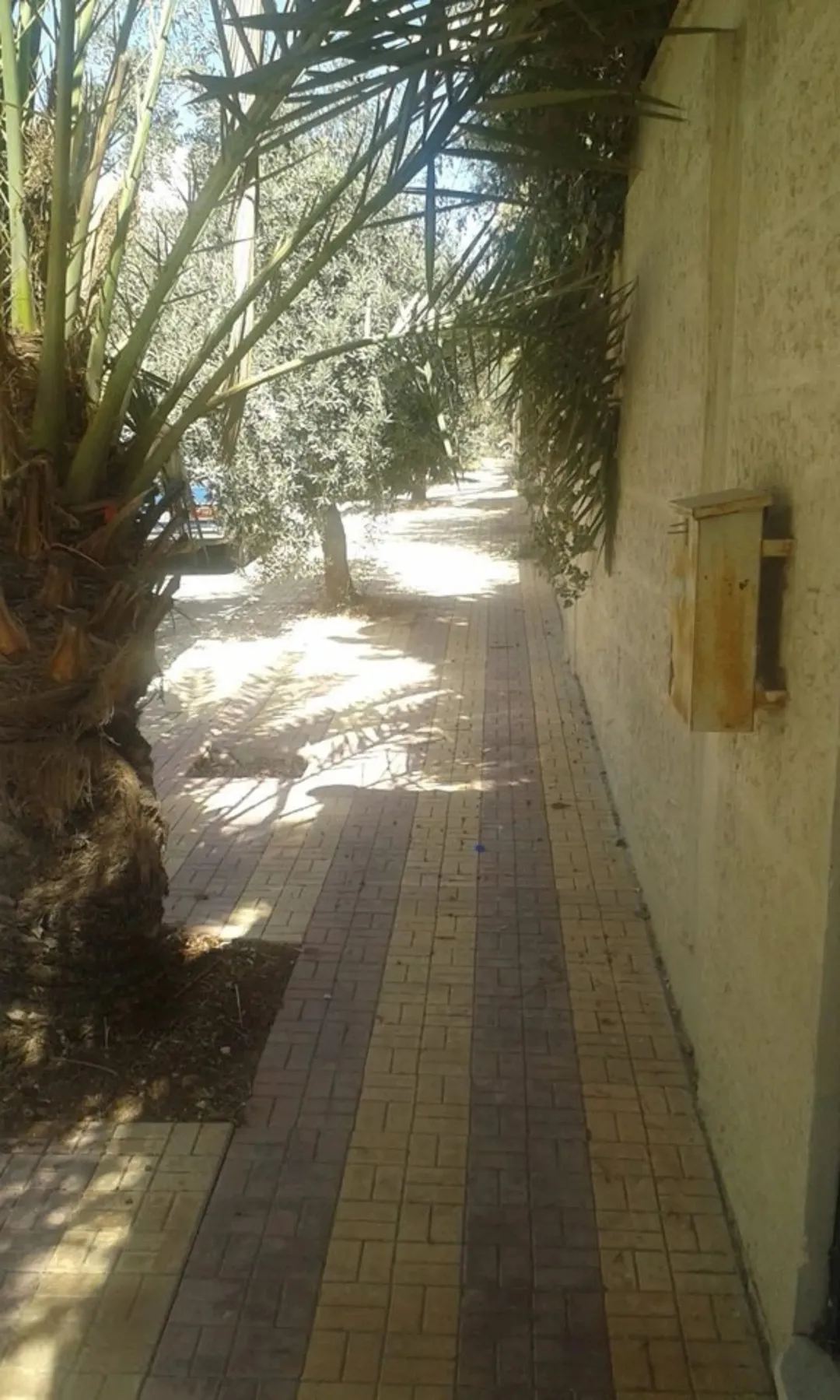 فيلا مميزة بموقع استثماري للبيع 6 غرف نوم و بركة سباحة-ضاحية الرشيد خلف مستشفى الجامعة — صورة 3