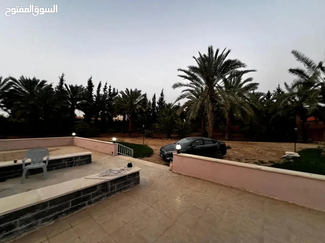 مزرعه مع فيلا ومسبح شميساني الغور
