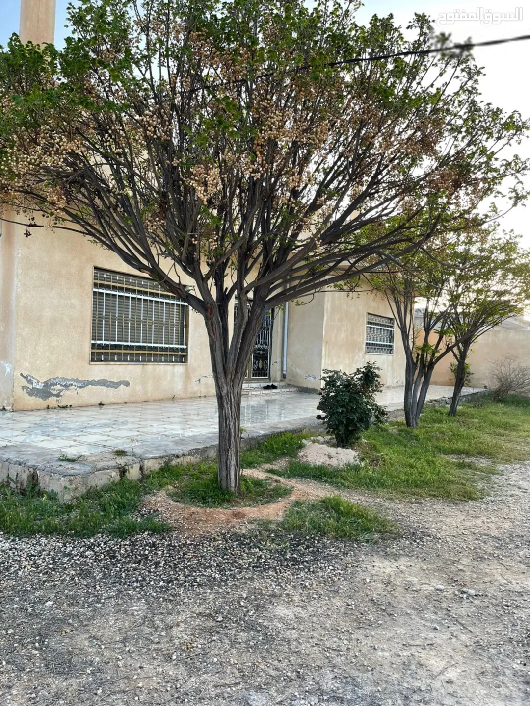 المفرق الزعتري الحي الغربي بيت محوش دونم و 100 متر مساحة البناء 330 متر وشمعات الطابق الثاني جاهزه
