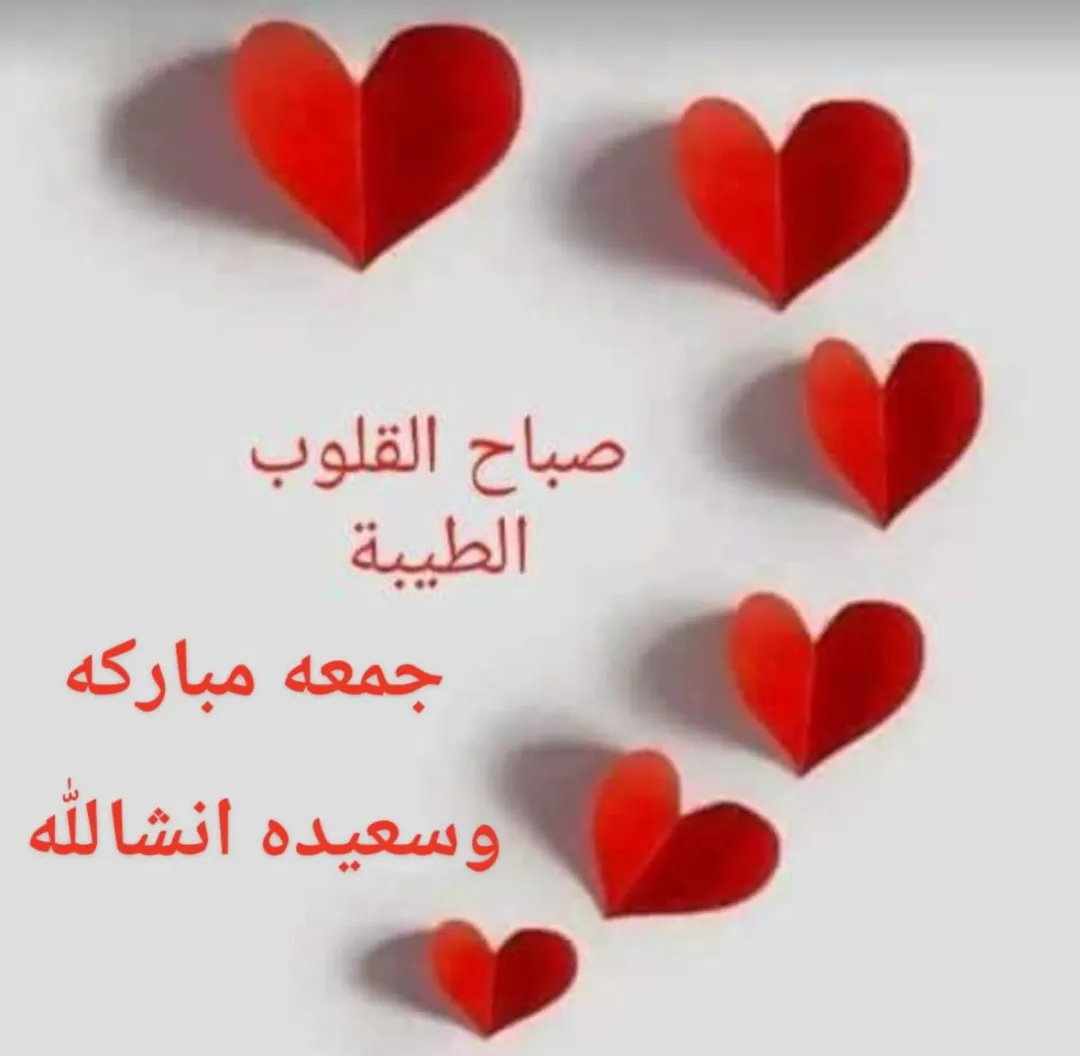 شقه للبيع في ضاحيه الحاج حسن جديد