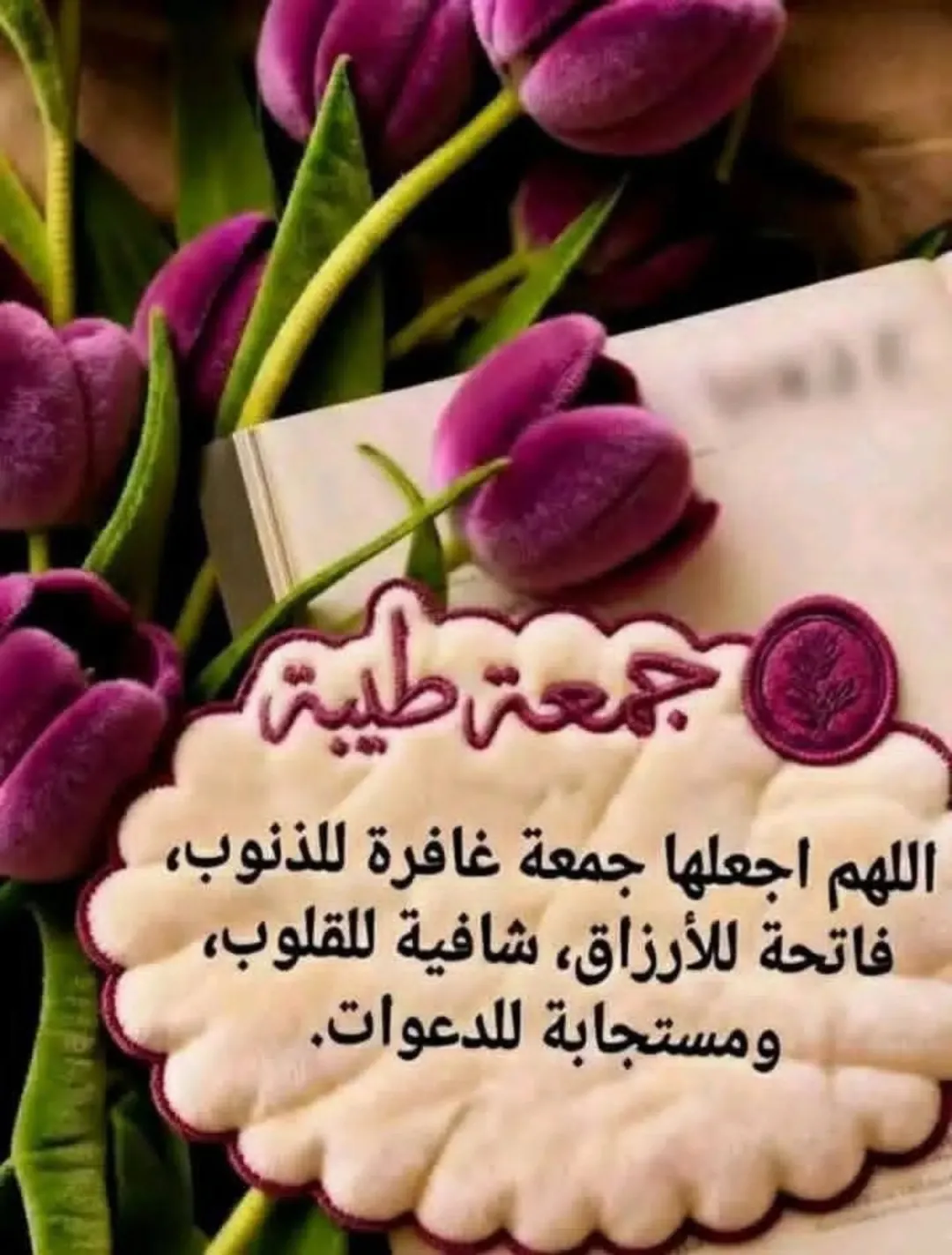 شقه للبيع في ضاحيه الحاج حسن جديد