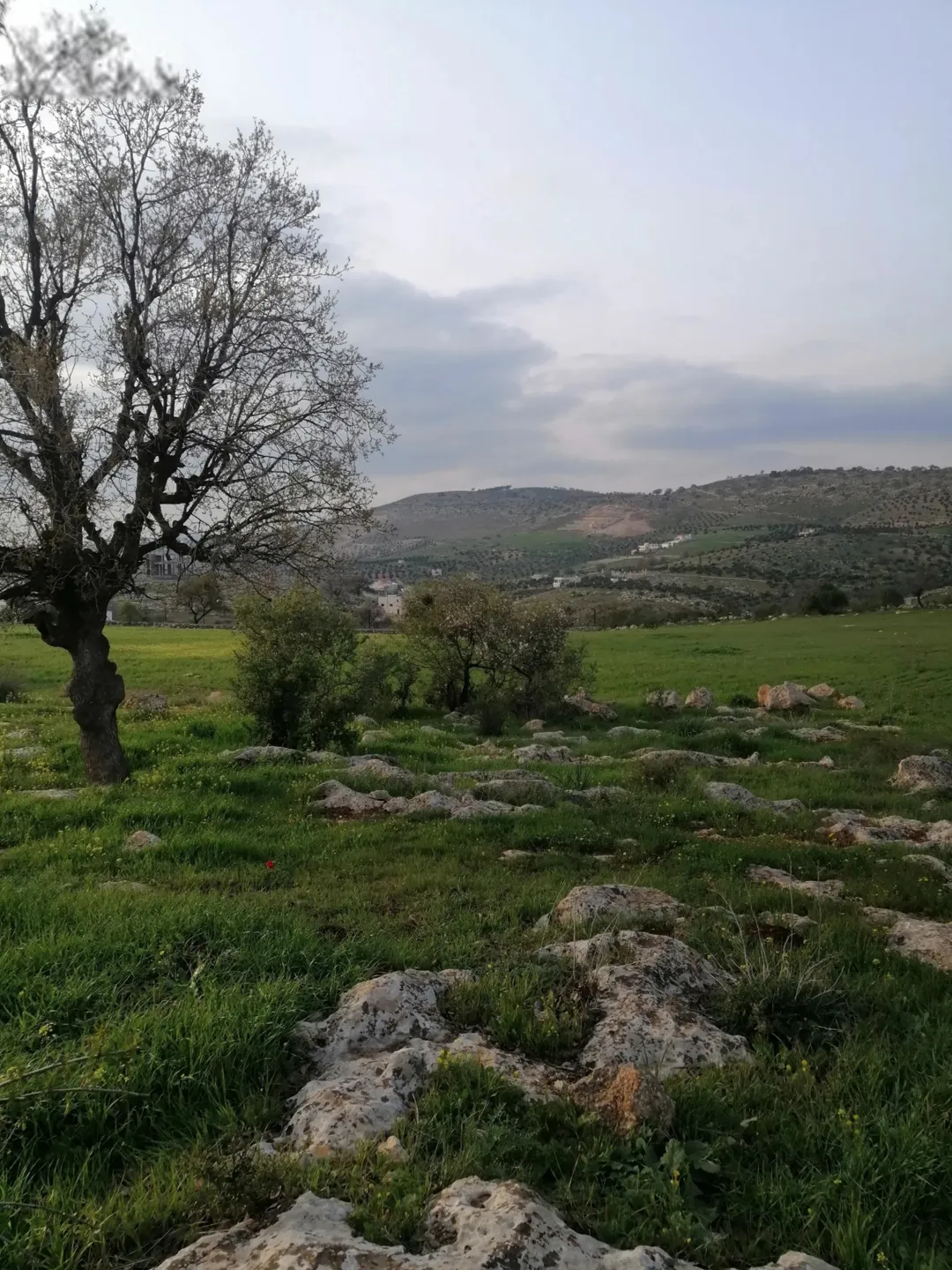 أرض جرش جبة 27 دونمًا مع إمكانية البدل