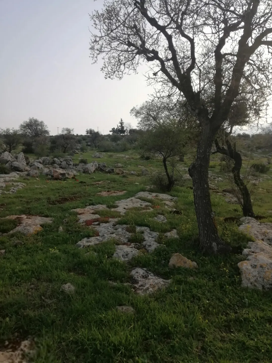 أرض جرش جبة 27 دونمًا مع إمكانية البدل