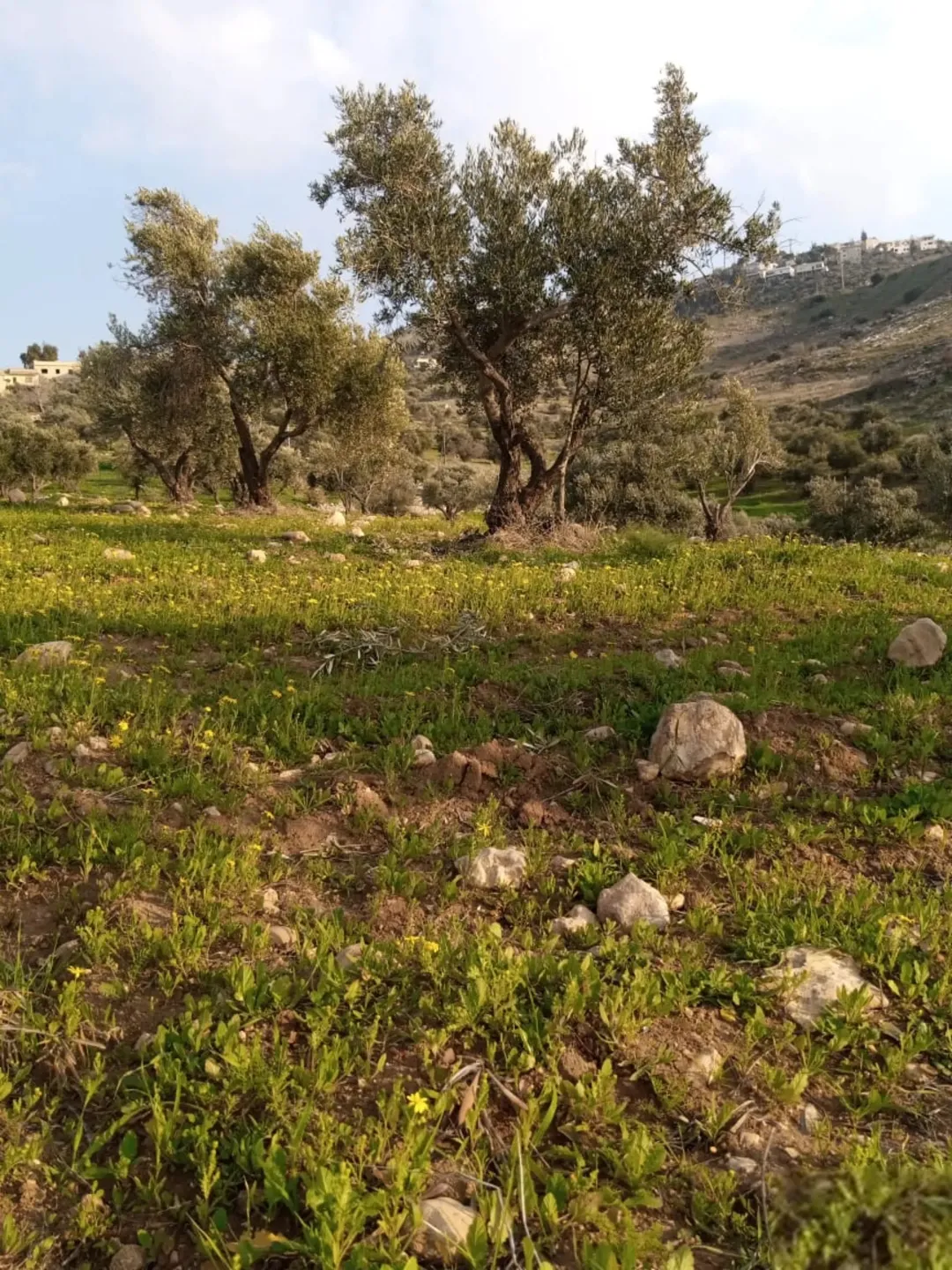 أرض جرش جبة 27 دونمًا مع إمكانية البدل