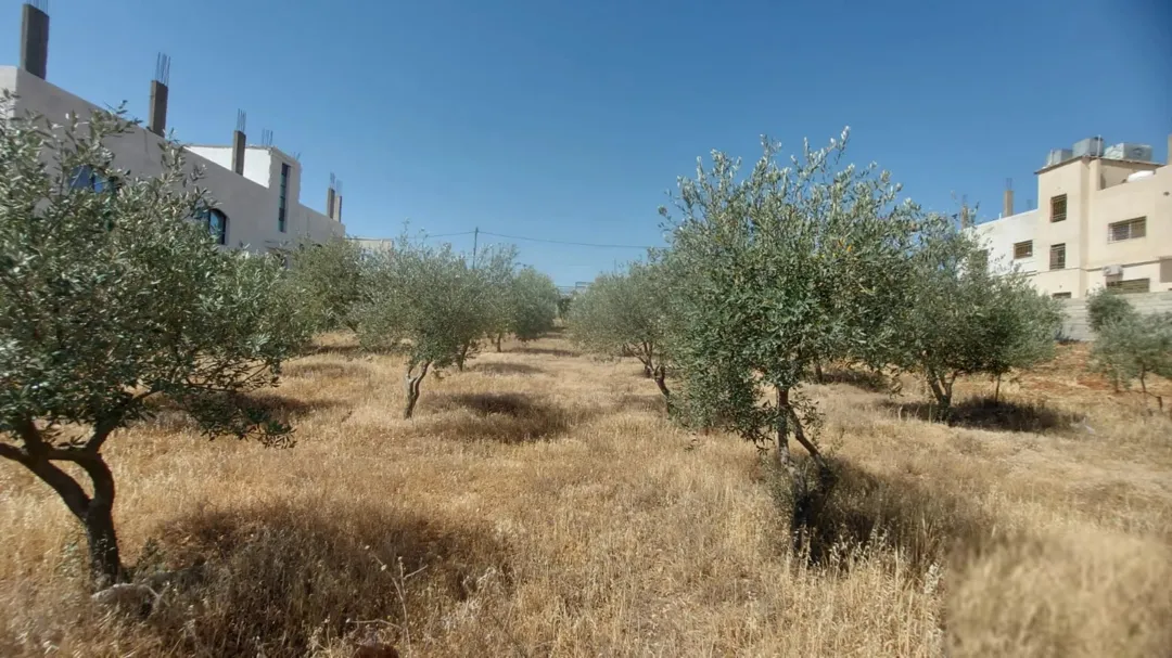 قطعة أرض سكنية مميزة للبيع في سالم – عمان