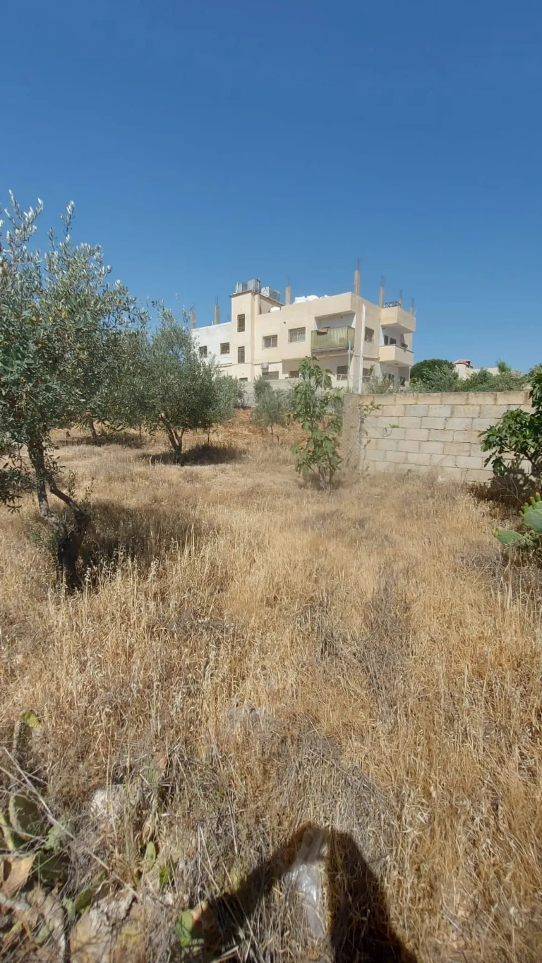 قطعة أرض سكنية مميزة للبيع في سالم – عمان