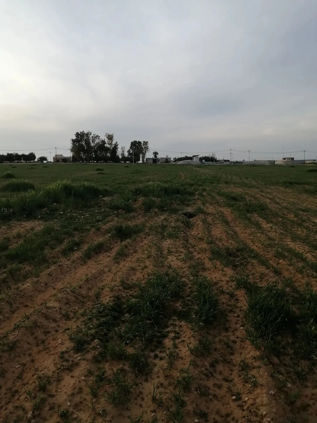 للبيع 3 دنمات و400 متر مفروزه مقابل ثغرة الجب حي الابرار — صورة 2