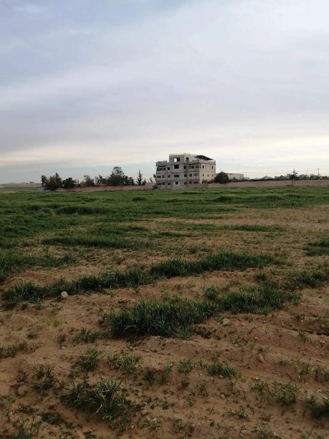 للبيع 3 دنمات و400 متر مفروزه مقابل ثغرة الجب حي الابرار
