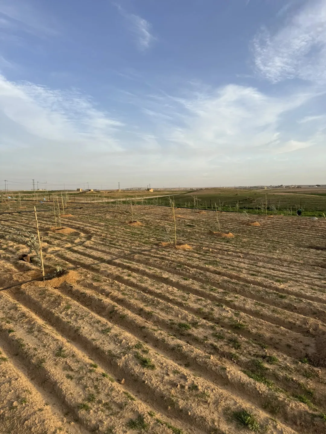 أرض زراعية للبيع في ضبعة – جنوب عمان