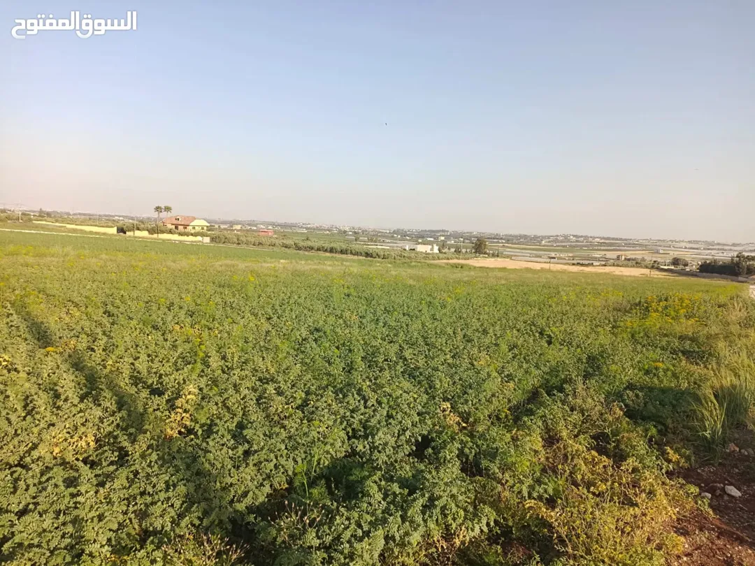 أرض سكنية مميزة للبيع في منطقة السامك – ناعور