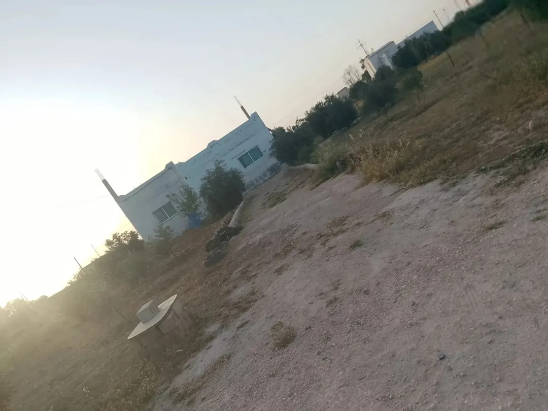 منزل للبيع البويضة