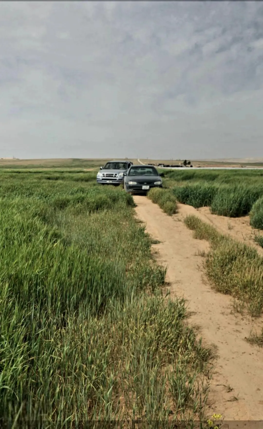ارض للبيع في القنيطرة جنوب العمان حوض الدهمان
